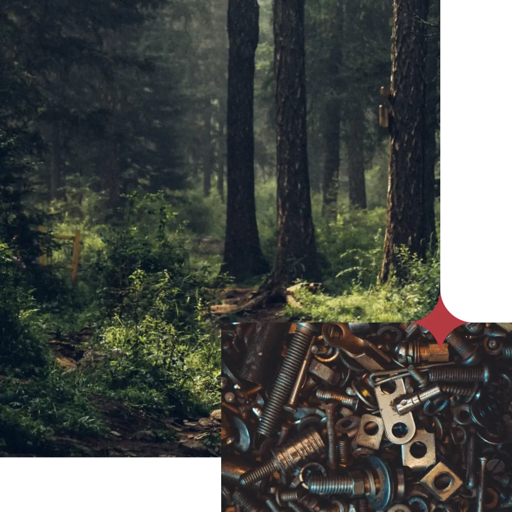 half-img-lotshamn-24